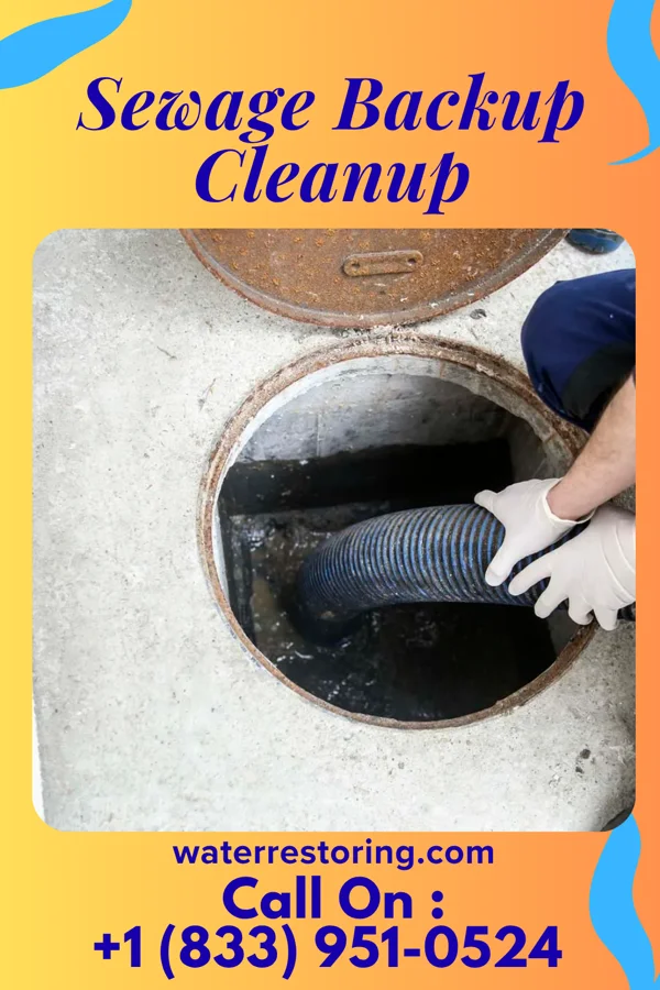 Sewage Backup Cleanup in North Bend, OH