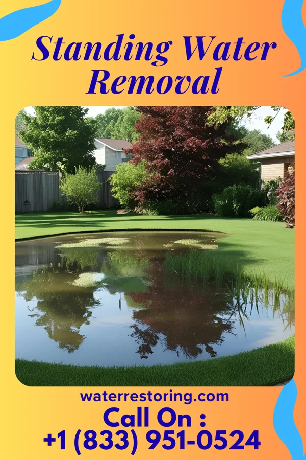 Standing Water Removal in North Bend, OH